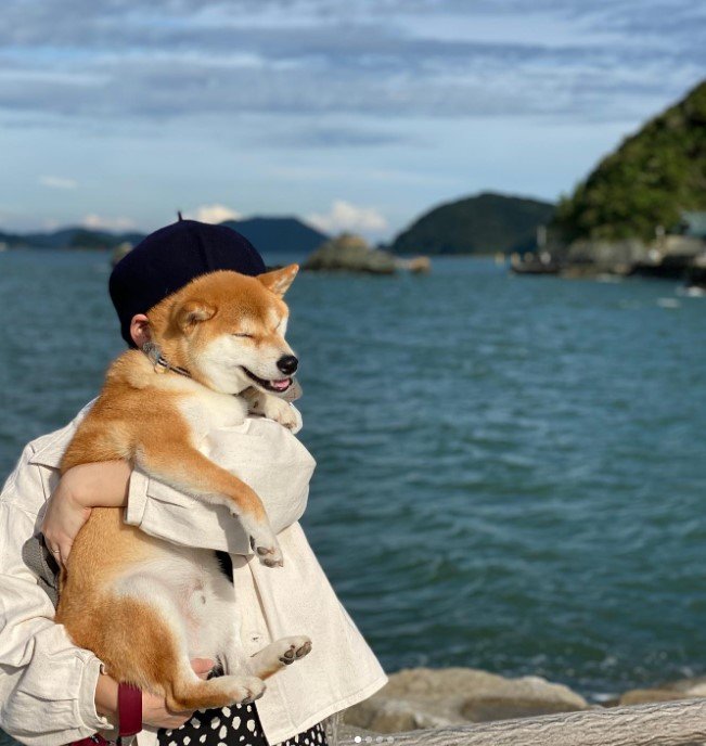 提供：torakichi602さん