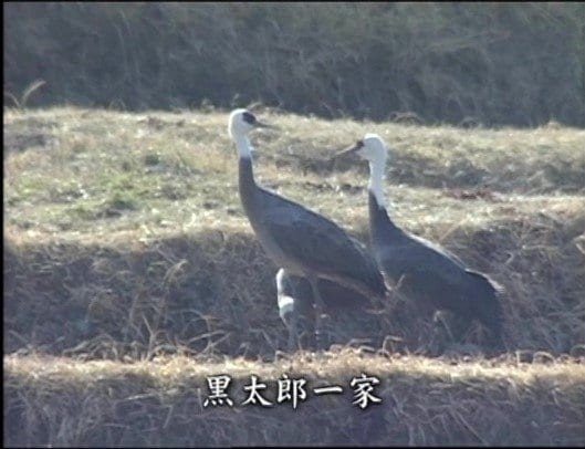 再婚した黒太郎とその一家