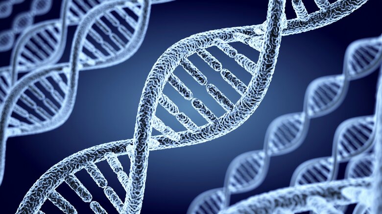 DNAの“メチル化”で年齢を推測できるように　画像はイメージ