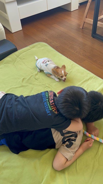 提供：ふくのすけさん