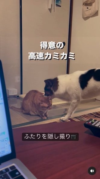 提供：naomiさん