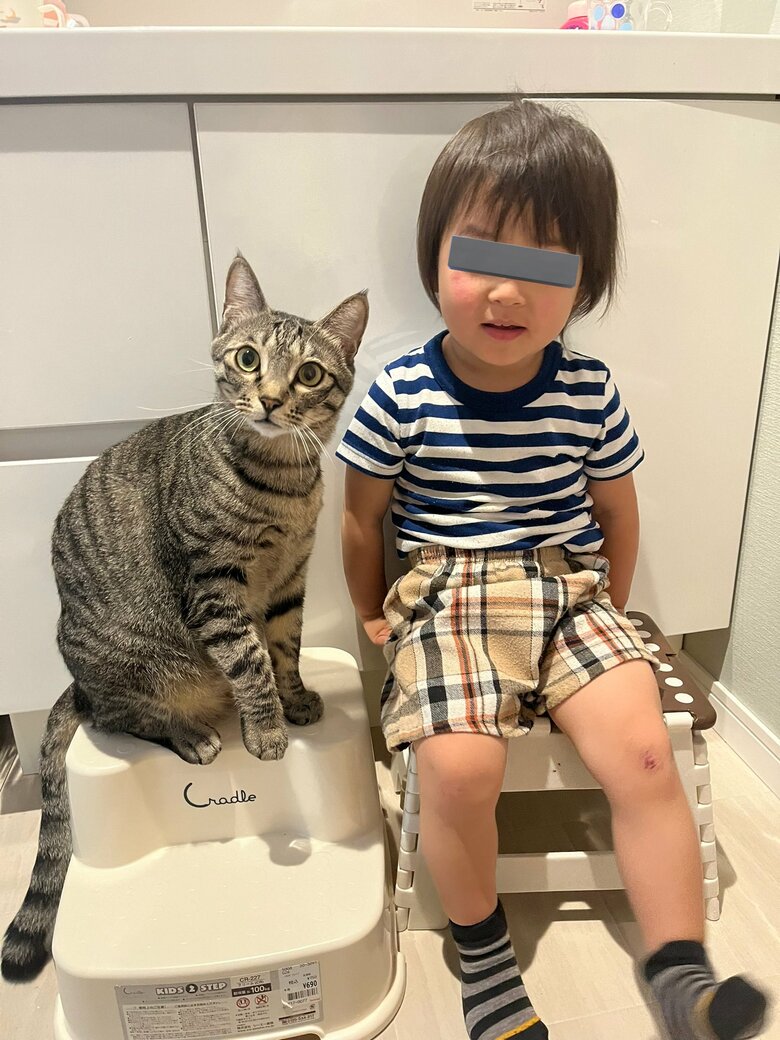 提供：すずつむふうさん