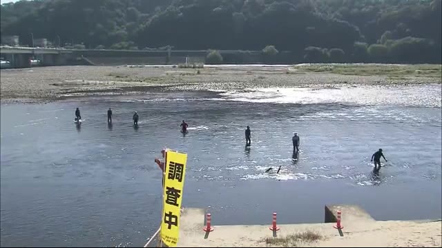アユの受精卵を放流 広島市・太田川