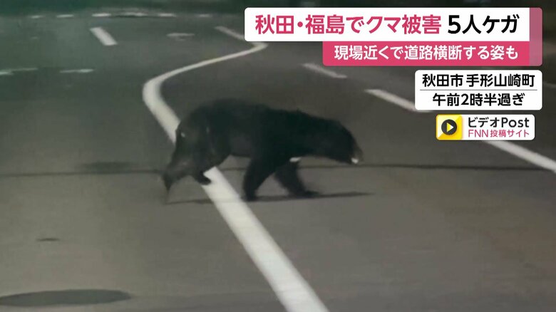 深夜の道路を住宅街に向かって横断するクマ⑤