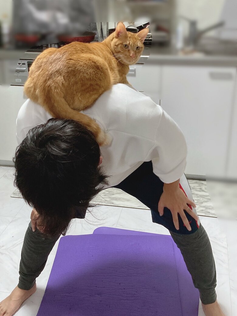 提供：たぬき&とらさん