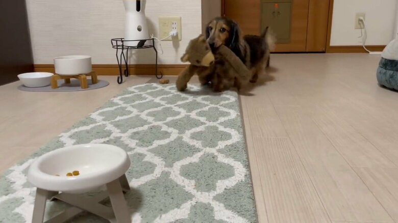 提供：るのんさん