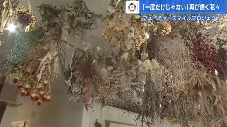 木原さんのアトリエに吊るされたドライフラワー