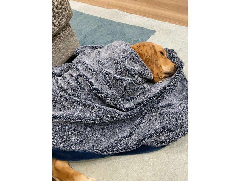 提供：関口和也さん