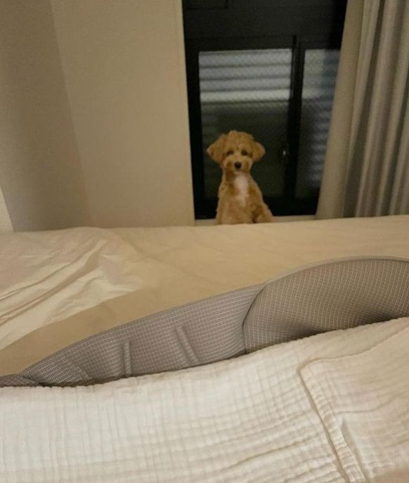 寝かしつけ中にじっと見つめてくるマルちゃん