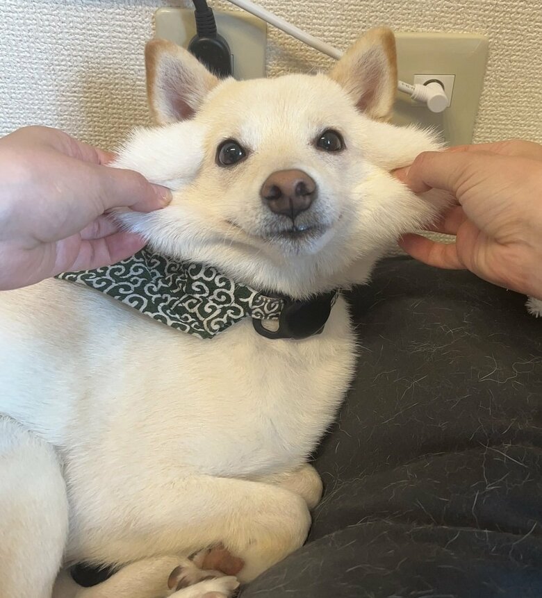 もっちりほっぺ
