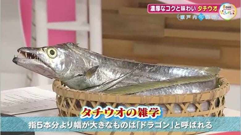 タチウオの「雑学」