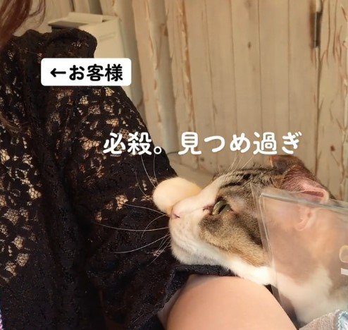 お客さんへの“接客スキル”も高い