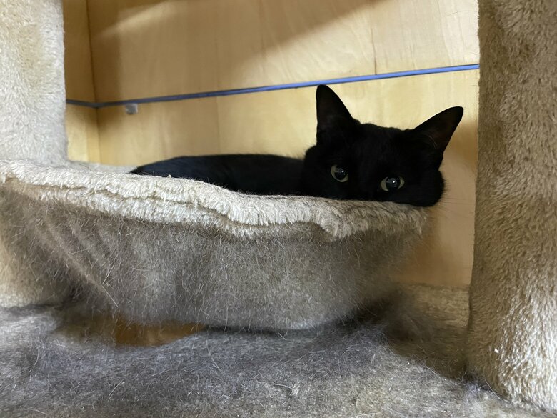 提供：マクーさん