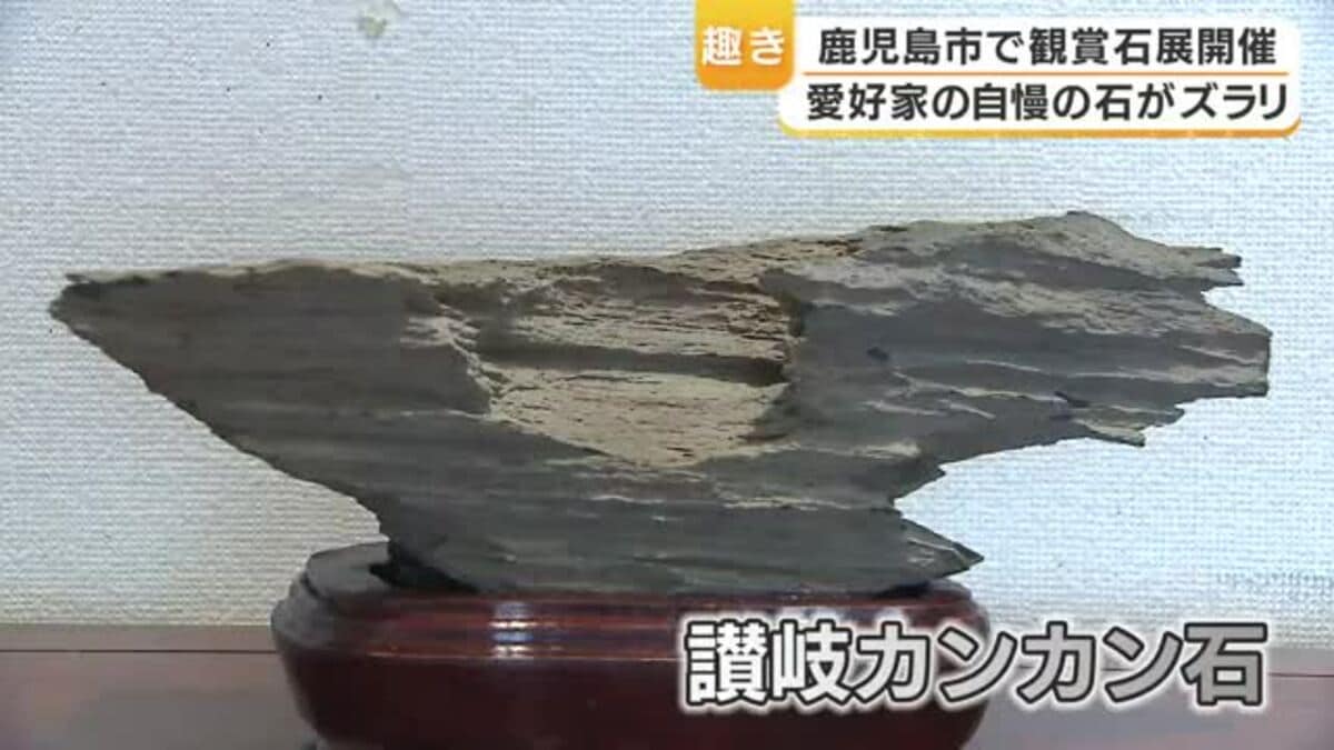 石の魅力に触れるー観賞石展開催 鹿児島市｜FNNプライムオンライン