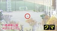 官公庁近くの運動公園をうろつくクマ　秋田テレビの情報カメラが捉える　周辺で目撃相次ぐ　秋田市