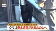 【クマ出没】山寺・千手院踏切近くの路上で目撃・体長80センチ～1メートル　千手院付近でも目撃