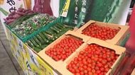 ＪＡみやざきが市場でトップセールス　ハウス野菜出荷のピークを前に仲卸業者にＰＲ