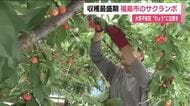 大気の状態が非常に不安定　“ひょう”による農作物の被害などに注意【6月12日・福島県】