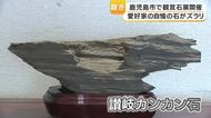石の魅力に触れるー観賞石展開催　鹿児島市