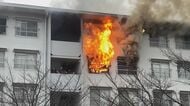 「爆発音がして黒煙が…」5階建ての集合住宅で火事 4階の部屋の焼け跡から性別不明の1人の遺体見つかる