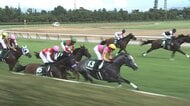 【国内唯一の直線1000m重賞 アイビスSD・G3】乗り替わりから再び頂点へ　“千直”に挑む田辺裕信騎手に注目