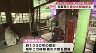 大規模火災の被災地・佐賀関の神社で恒例の「春の大祭」豊漁や五穀豊穣、復興を祈願　大分