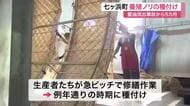 重油流出事故から復活へ　七ヶ浜町で養殖ノリの種付け開始「昨シーズンの分も取り返したい」〈宮城〉