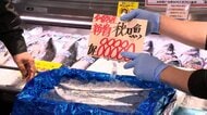 「初物」サンマ1匹8万8880円　6匹は即完売　北海道・釧路港で初競りで1キロ44万円の“歴代最高”価格