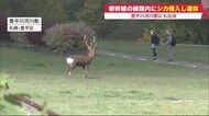 北海道新幹線