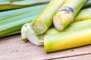 「ヘビより毒!」この時期に注意しなければならない意外な食べ物とは