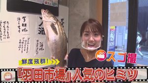 安くて鮮度抜群!北海道でとれた魚をその日のうちに東京で…大人気「羽田市場」の“超速空輸”に密着