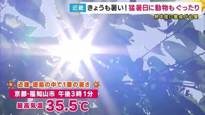 「真夏のような暑さ来週にかけても続く…正直終わり見えない」と気象予報士 近畿各地で真夏の暑さ 慣れない体に万全の熱中症対策を