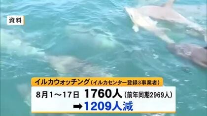 天草の人気観光スポット『イルカウォッチング』の乗船客は前年同期比約１２００人減少【令和８年熊本地震】