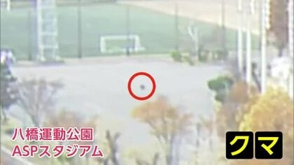 官公庁近くの運動公園をうろつくクマ　秋田テレビの情報カメラが捉える　周辺で目撃相次ぐ　秋田市