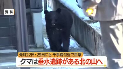 【クマ出没】山寺・千手院踏切近くの路上で目撃・体長80センチ～1メートル　千手院付近でも目撃