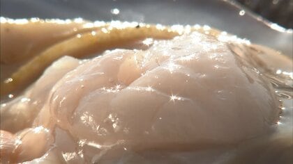 肉厚の貝柱と甘みが魅力「泳ぐホタテ」　人気のふるさと納税返礼品…復興支援の恩返しに【岩手発】