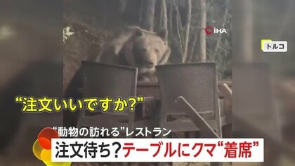 レストランのテラス席にクマが着席！？「酔っぱらってる？」目が据わり食べ残しを“つまみぐい”　トルコの国立公園