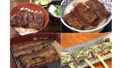 調べたら諸説ありすぎた…実は「うなぎ店」が愛知・豊川市にも多い理由 八丁味噌とコラボの独自グルメも
