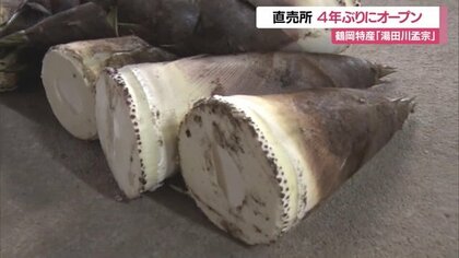 鶴岡市特産「湯田川孟宗」えぐみなく柔らかい食感が特長　朝採り専門の直売所4年ぶりにオープン【山形発】