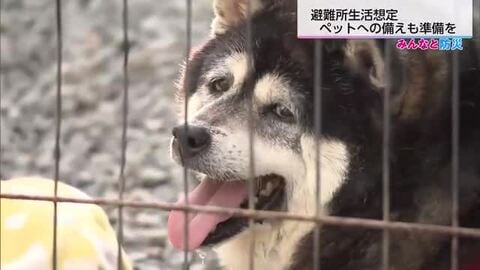 【みんなと防災】 大規模災害時のペットの避難　日頃からの備えが大切