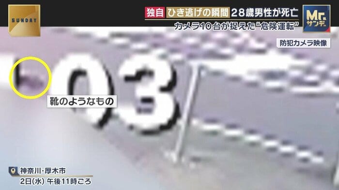 路上に転がった靴のようなもの