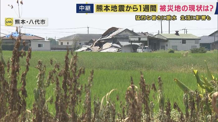 厳しい暑さ続く
