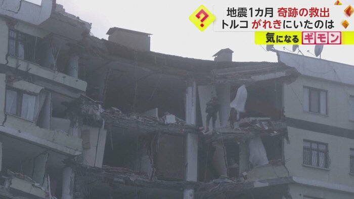 猫を救助するアニマルレスキュー隊員