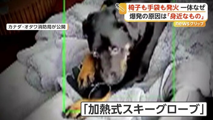 犬が噛んでいたのは「加熱式スキーグローブ」（Ottawa Fire Services）