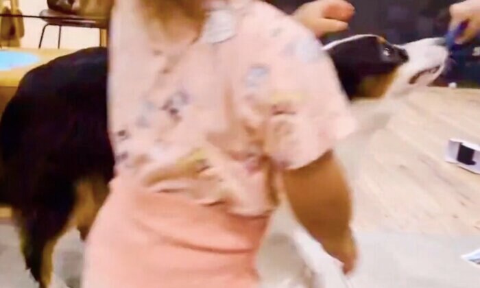 アタチちゃん「やりた〜い」(提供:しがしがさん)