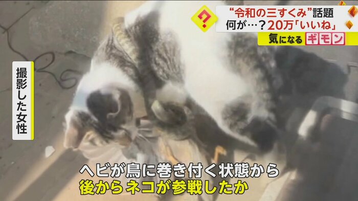(@kothu03)