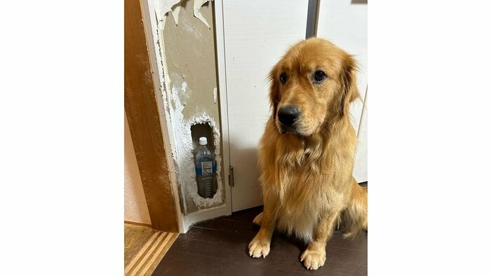 現在も穴はそのまま 非常用に水と缶詰めなどを収納できるようになったそう