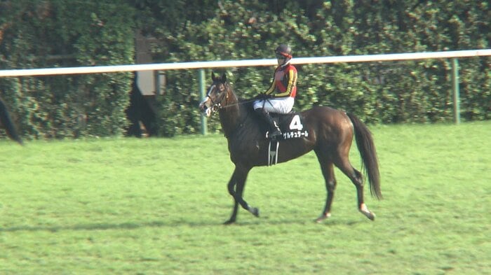 日本海Sを制したゲルチュタール