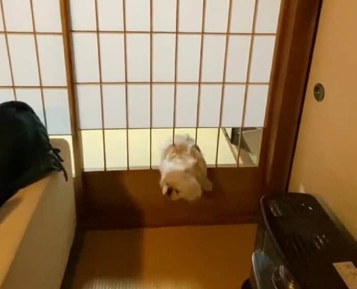 抜け出そうと奮闘するが…