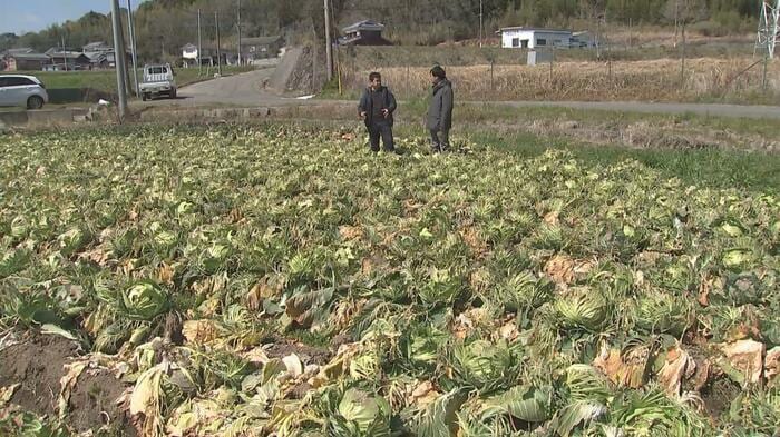 国東市 松原ファーム